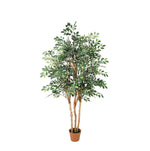 





Pianta Artificiale Ficus Exotica | 150cm - Afbeelding 9
 thumbnail