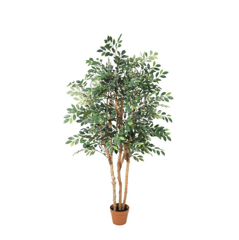 





Pianta Artificiale Ficus Exotica | 150cm - Afbeelding 9
