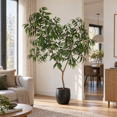 Kunstplant Ficus Alii King | 225cm, in een interieur, in Pot Stijn zwart D34 x H35