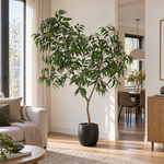 





Plante artificielle Ficus Alii King | 225cm - Premium kunstplant van Florafy
 thumbnail
