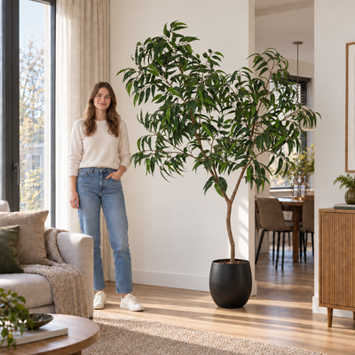 Kunstplant Ficus Alii King | 225cm, naast een vrouw ter indicatie van de hoogte, in Pot Stijn zwart D34 x H35