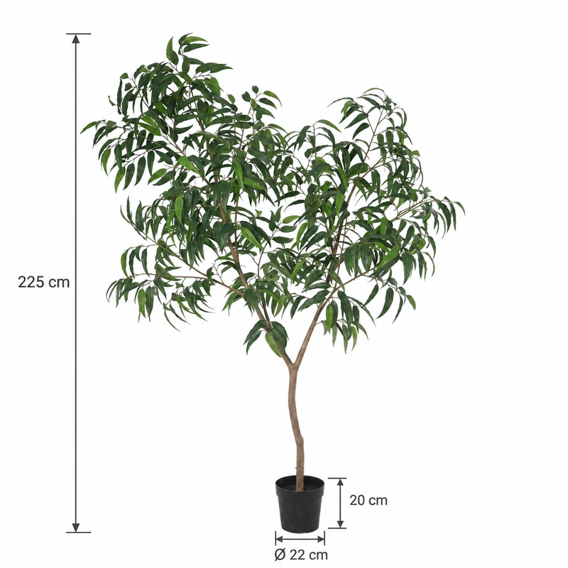 





Plante artificielle Ficus Alii King | 225cm - Afbeelding 5
