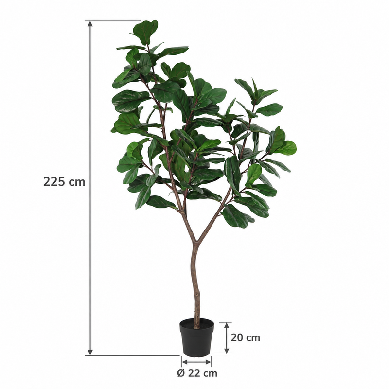 





Kunstig Ficus Lyrata Træ | 225cm - Afbeelding 5
