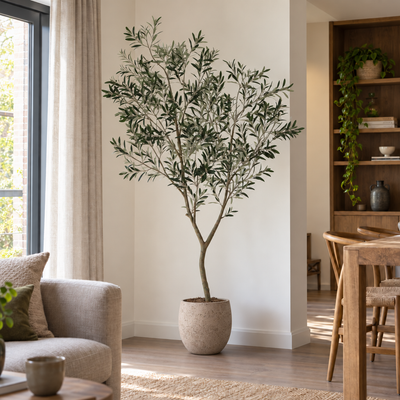 Kunst Olijfboom | 225cm, in een interieur, in Pot Orb Grey Washed D32 x H28