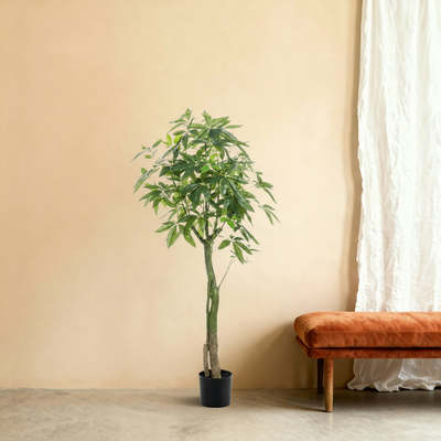 Kunstplant Pachira | 150cm