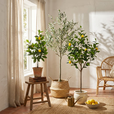 Zestaw sztucznych roślin Mediterranean Mix - Cytrynowiec i Drzewo oliwne od Florafy - Foto 1