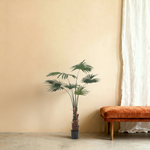 





Kunstplante Palm Livistona | 110cm - Premium kunstplant van Florafy
 thumbnail