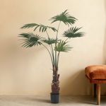 





Kunstplante Palm Livistona | 110cm - Detail view kunstplant
 thumbnail