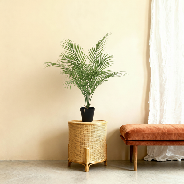 Kunst kentia 'Howea forsteriana' - 67cm