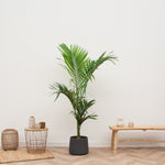 





Pot Patt Black Washed - Detail view kunstplant
 thumbnail