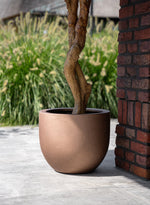





Pot grigio new egg Bronze - Afbeelding 6
 thumbnail