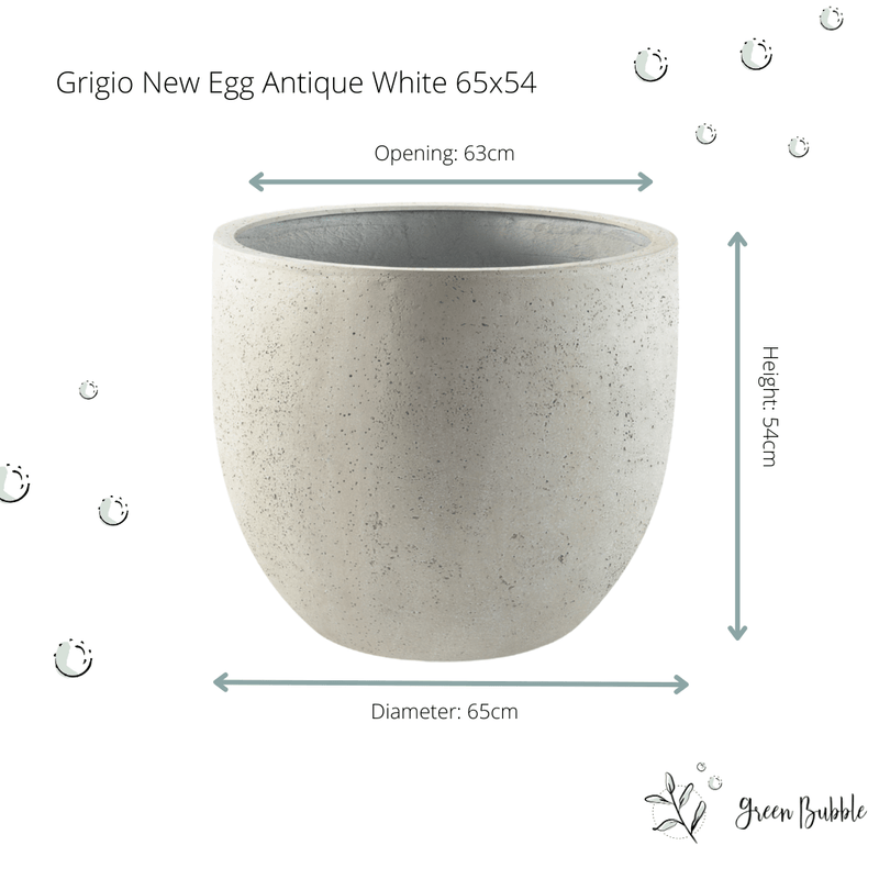 





Pot Grigio new egg antique white - Afbeelding 5
