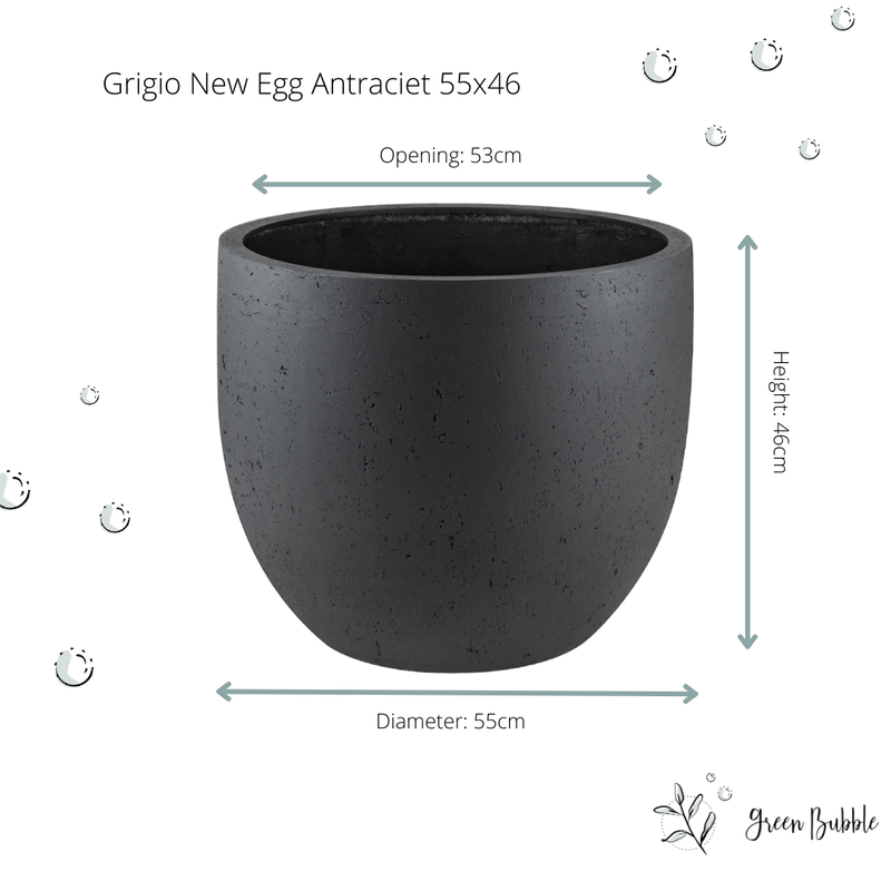 





Topf Grigio New Egg Anthrazit - Afbeelding 4
