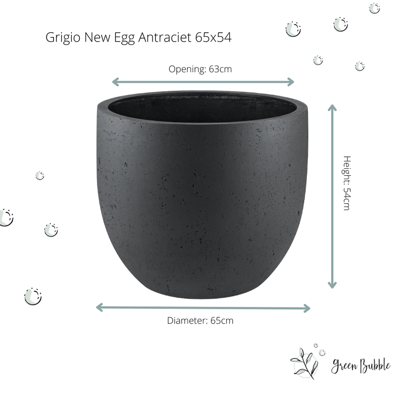 





Topf Grigio New Egg Anthrazit - Afbeelding 5
