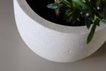 





Pot Grigio new egg antique white - Afbeelding 6
 thumbnail