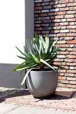 





Pot grigio new egg natural concrete - Afbeelding 6
 thumbnail