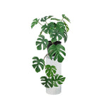 





Kunst Monstera Hangplant | 48cm - Premium kunstplant van Florafy
 thumbnail