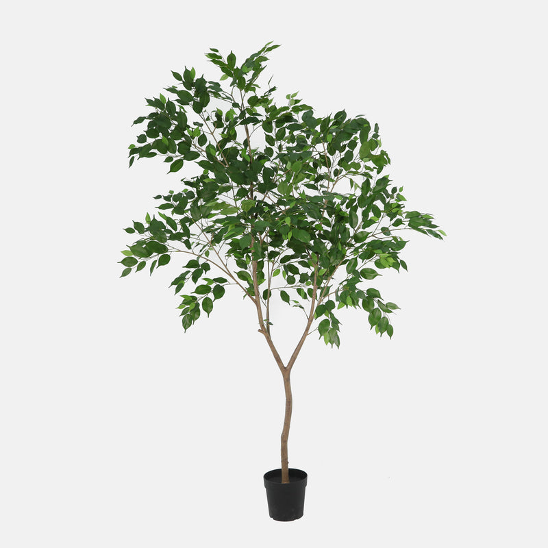 





Pianta Artificiale Ficus Benjamina | 240cm - Premium kunstplant van Florafy
