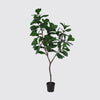 Kunstplant Ficus Lyrata Boom | 240cm