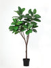 Kunstplant Ficus Elastica Robusta | 170cm