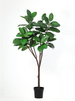 





Pianta artificiale Ficus Elastica Robusta | 170cm - Premium kunstplant van Florafy
 thumbnail