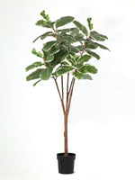 





Pianta artificiale Ficus Elastica Tineke | 170cm - Premium kunstplant van Florafy
 thumbnail
