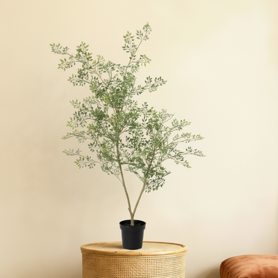 Kunstplant Bucida | 71cm