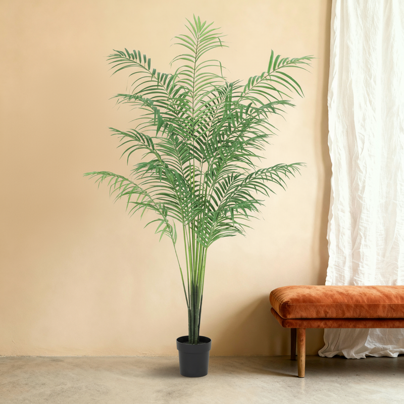 





Kunstplant Areca | 200cm - Premium kunstplant van Florafy
