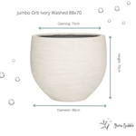 





Pot Orb Ivory Washed - Afbeelding 4
 thumbnail