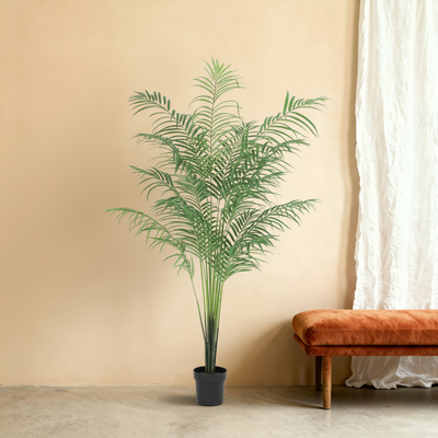 Plant Hang Groen | 150 cm - NU PUUR & GROEN B.V Plant Hang Groen | 150 cm - NU PUUR & GROEN B.V