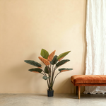 





Kunstplant Philodendron | 120cm - Premium kunstplant van Florafy
 thumbnail