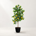 





Limonero artificial | 115cm - Premium kunstplant van Florafy
 thumbnail