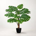 





Sztuczna roślina Monstera | 100cm - Premium kunstplant van Florafy
 thumbnail