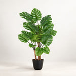 





Kunstpflanze Monstera | 140cm - Premium kunstplant van Florafy
 thumbnail