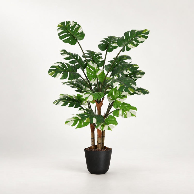 





Kunstpflanze Monstera Variegata | 140cm - Premium kunstplant van Florafy
