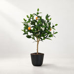 





Kunstpflanze Orangenbaum | 83cm - Premium kunstplant van Florafy
 thumbnail