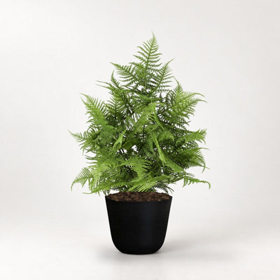 Kunst Asparagus groen 50cm in zwarte pot