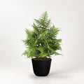Kunst Asparagus groen 50cm in zwarte pot