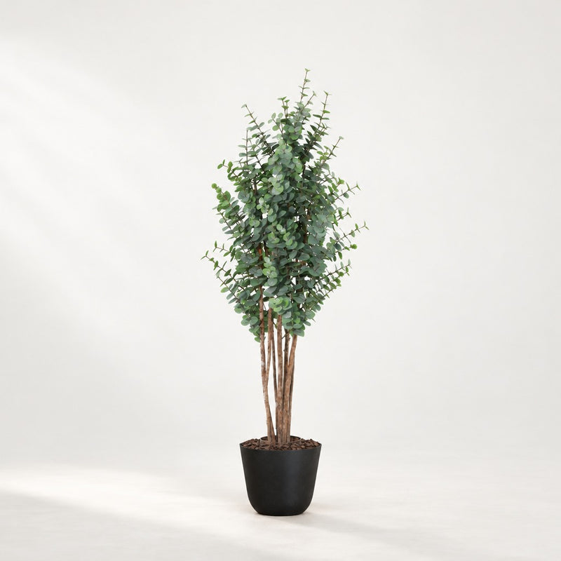 





Kunstpflanze Eukalyptus Grün | 200cm - Premium kunstplant van Florafy
