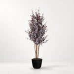 





Kunstplant Eucalyptus Paars | 200cm - Premium kunstplant van Florafy
 thumbnail