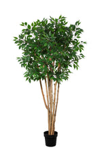 





Kunstplant Ficus Benjamina Meerstammig | 180cm - Detail view kunstplant
 thumbnail