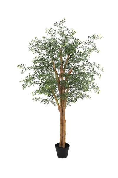 Kunstplant Ficus Cassia | 150cm