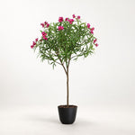 





Kunstplant Nerium oleander roze | 150cm - Premium kunstplant van Florafy
 thumbnail