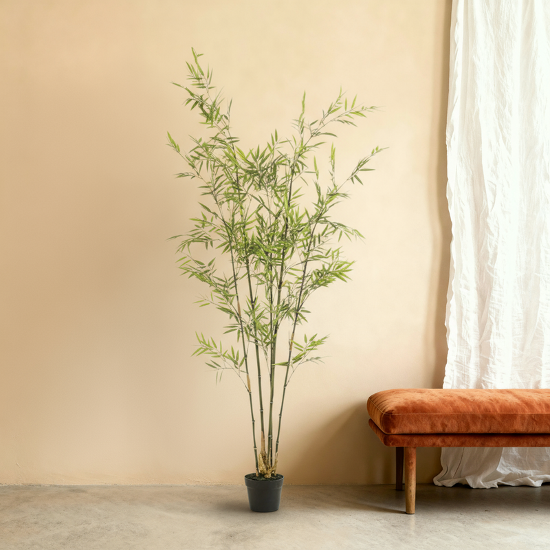 





Kunstplant Bamboe | 175cm - Premium kunstplant van Florafy
