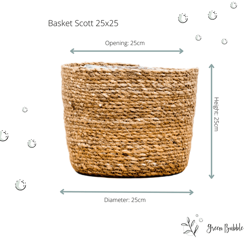 





Korg Scott - Afbeelding 8
