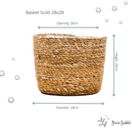 





Korg Scott - Afbeelding 9
 thumbnail