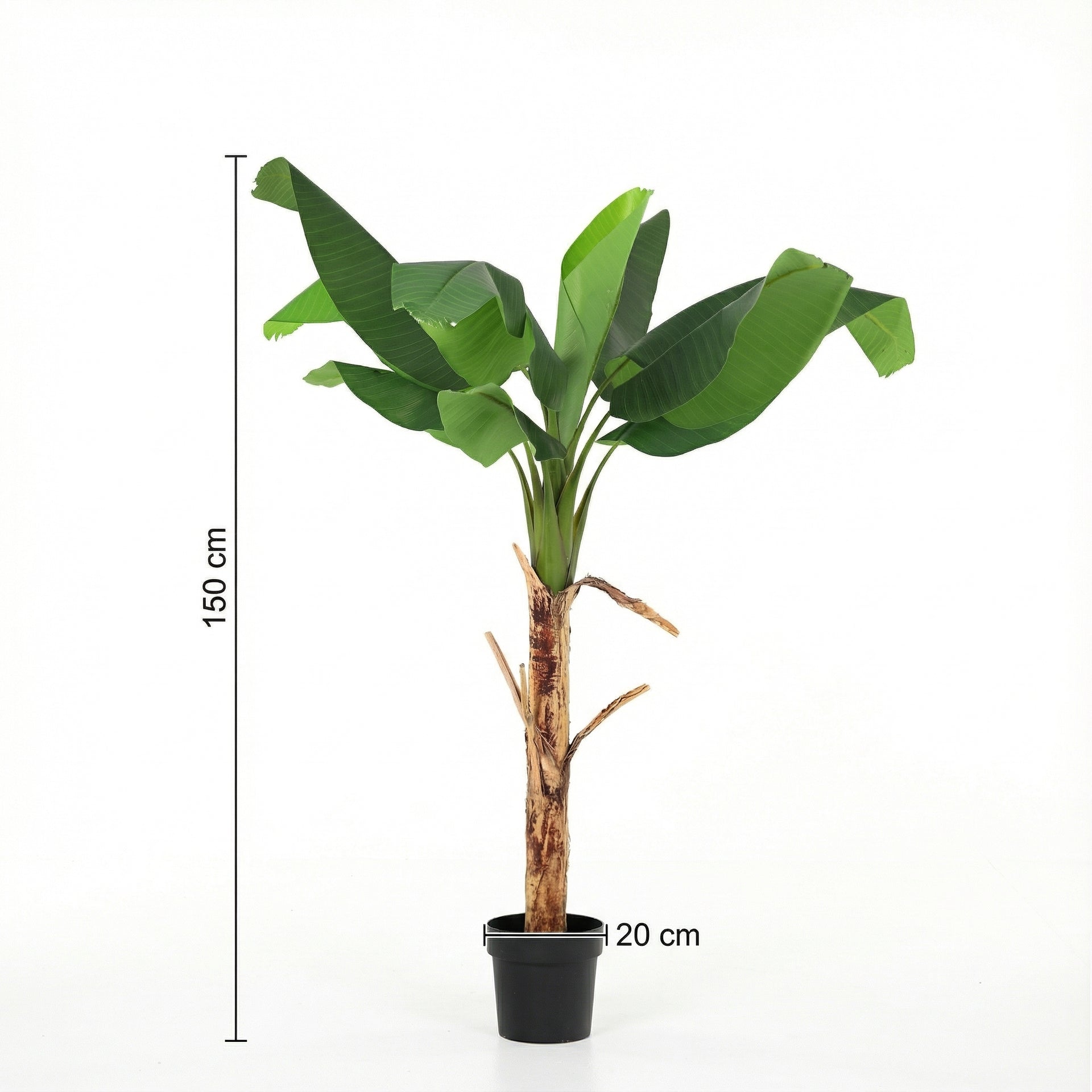 





Kunstplant Bananenplant | 150cm - Afbeelding 9
