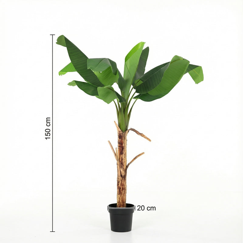 





Kunstplant Bananenplant | 150cm - Afbeelding 8
