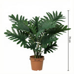 





Kunstplant Philodendron Selloum | 70cm - Afbeelding 8
 thumbnail