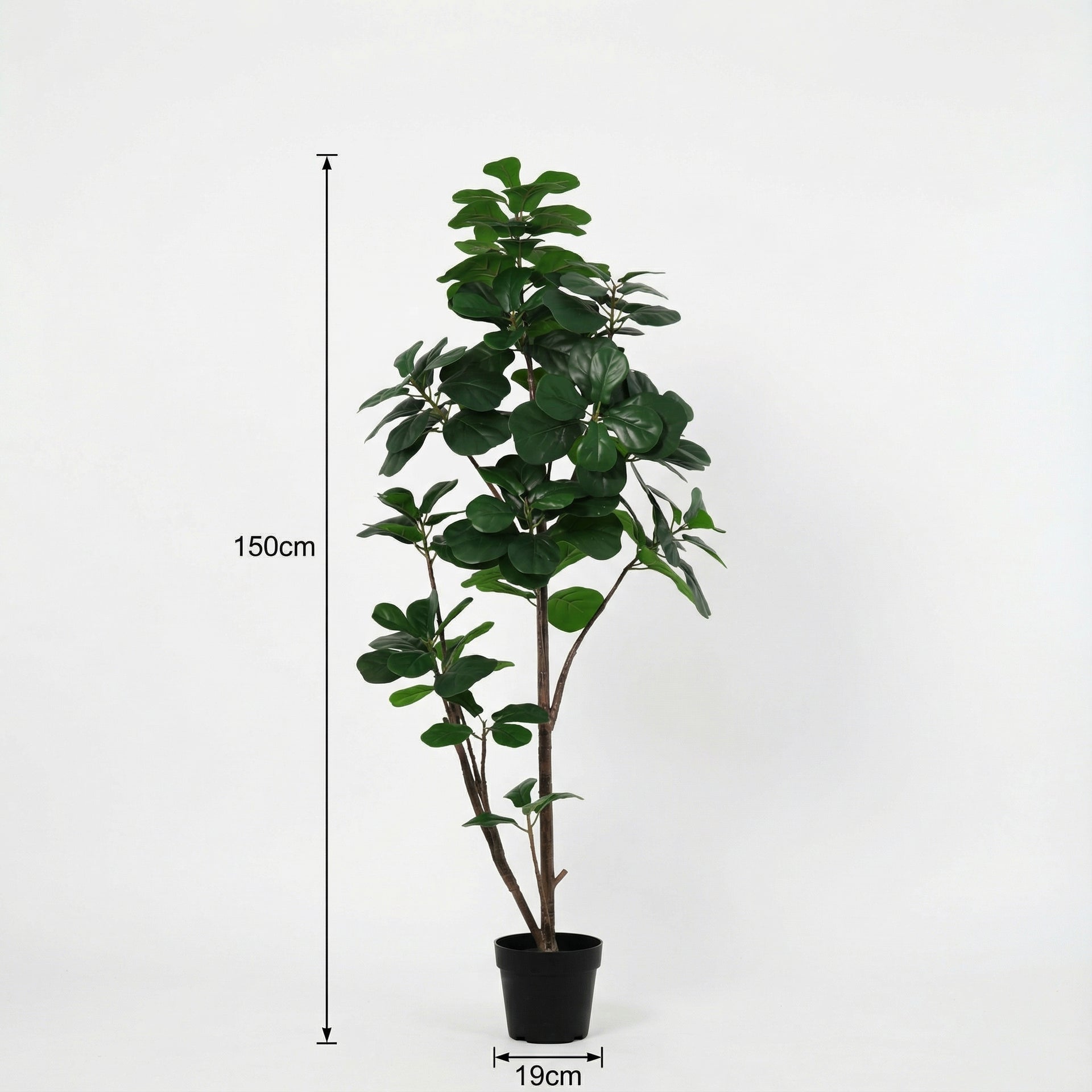 





Kunstplant Ficus Lyrata Vertakt | 150cm - Afbeelding 9

